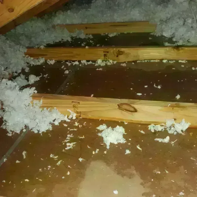 Attic Water Damage in Summit Hill, PA