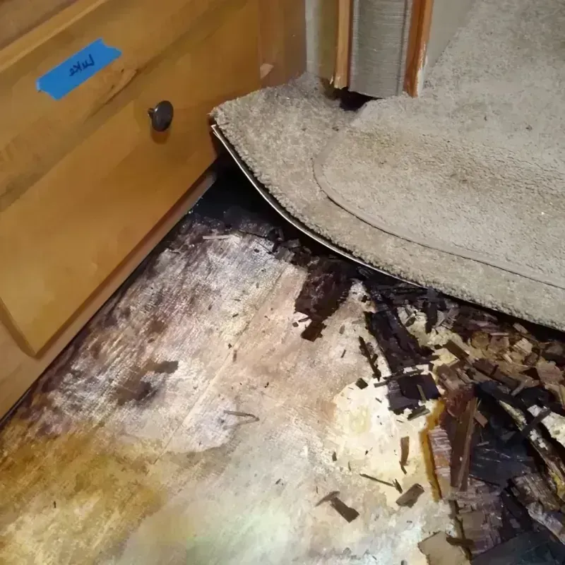 Best Wood Floor Water Damage Service in Summit Hill, PA